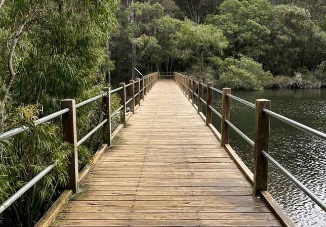 Eine Brücke führt in den Wald hinein. Rechts ein Fluss.