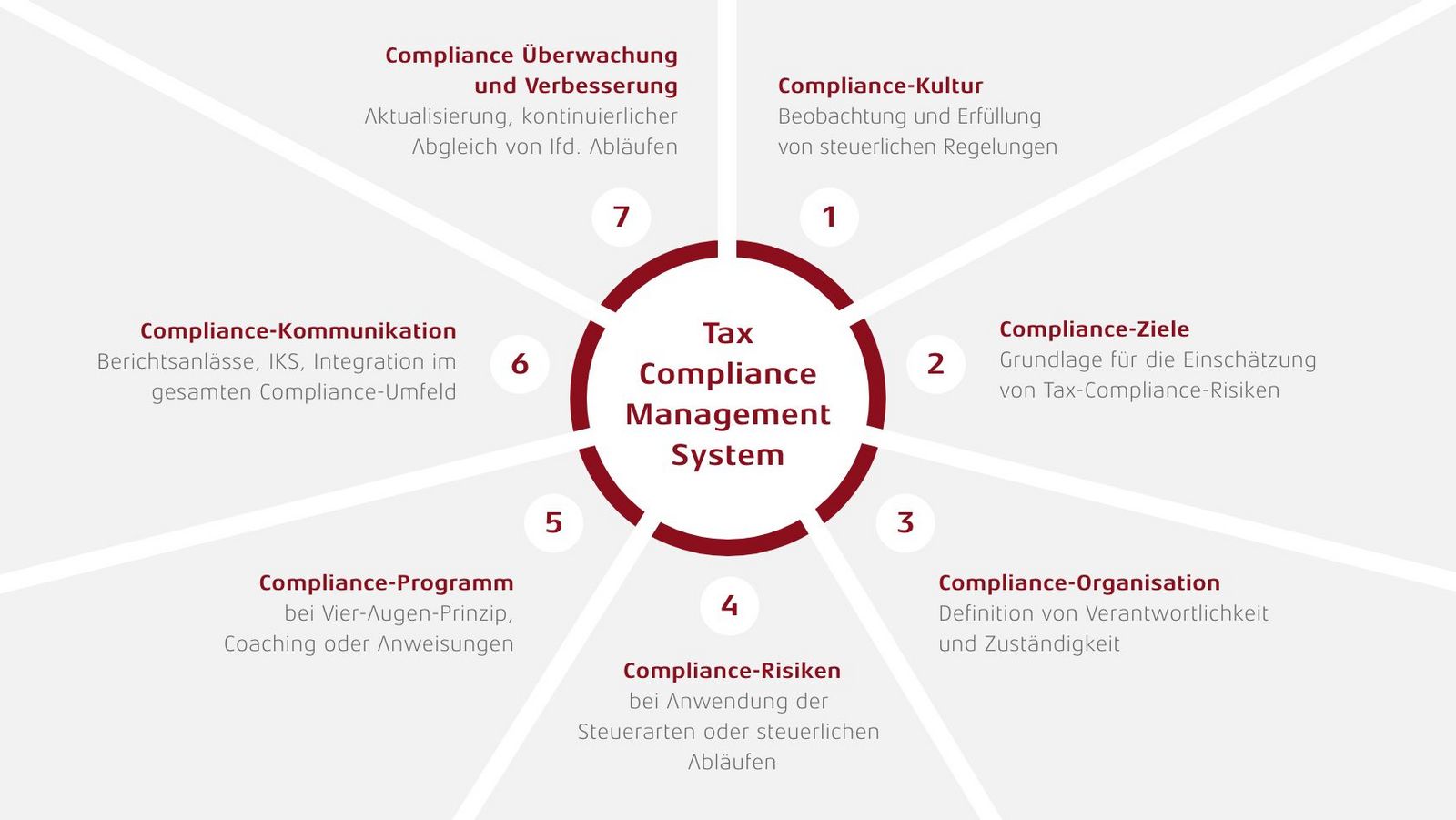 Tax Compliance Managament System in 7 Schritten